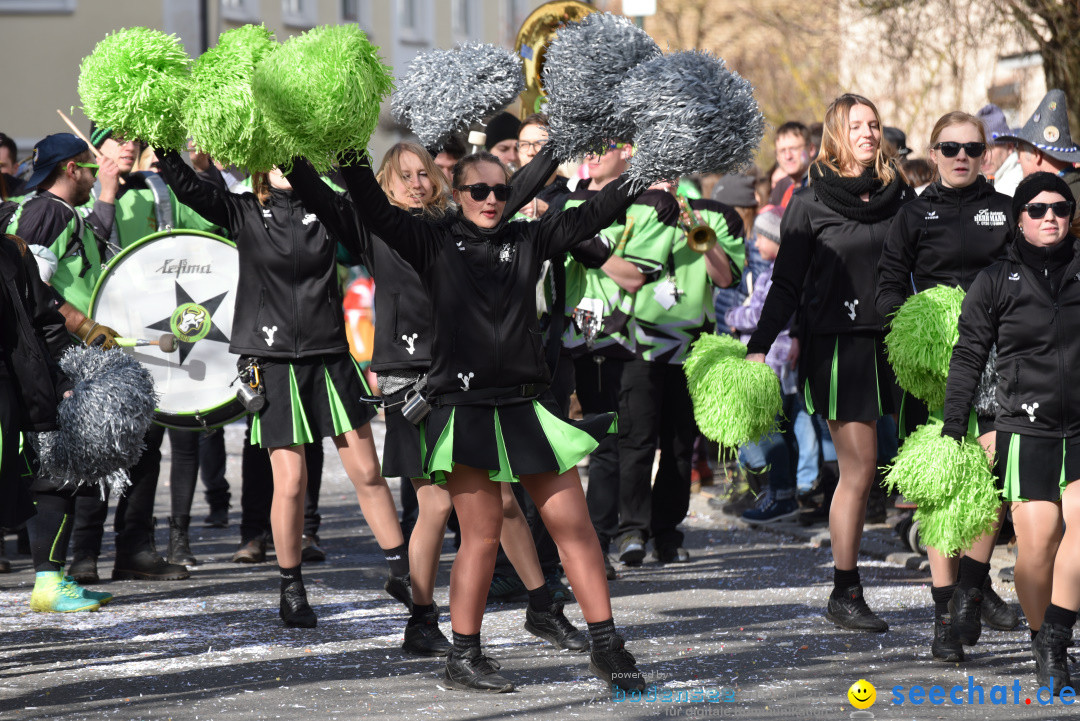 Jubilaeumsumzug - 60 Jahre Zeller Katz: Eberhardszell, 24.02.2019