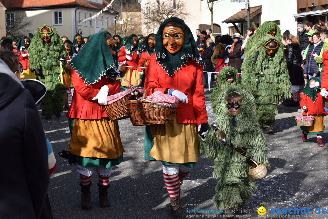 Jubilaeumsumzug - 60 Jahre Zeller Katz: Eberhardszell, 24.02.2019