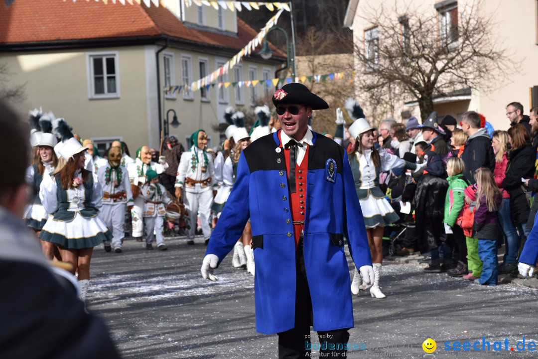 Jubilaeumsumzug - 60 Jahre Zeller Katz: Eberhardszell, 24.02.2019