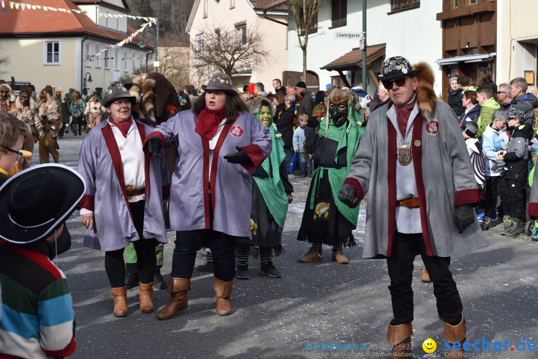 Jubilaeumsumzug - 60 Jahre Zeller Katz: Eberhardszell, 24.02.2019