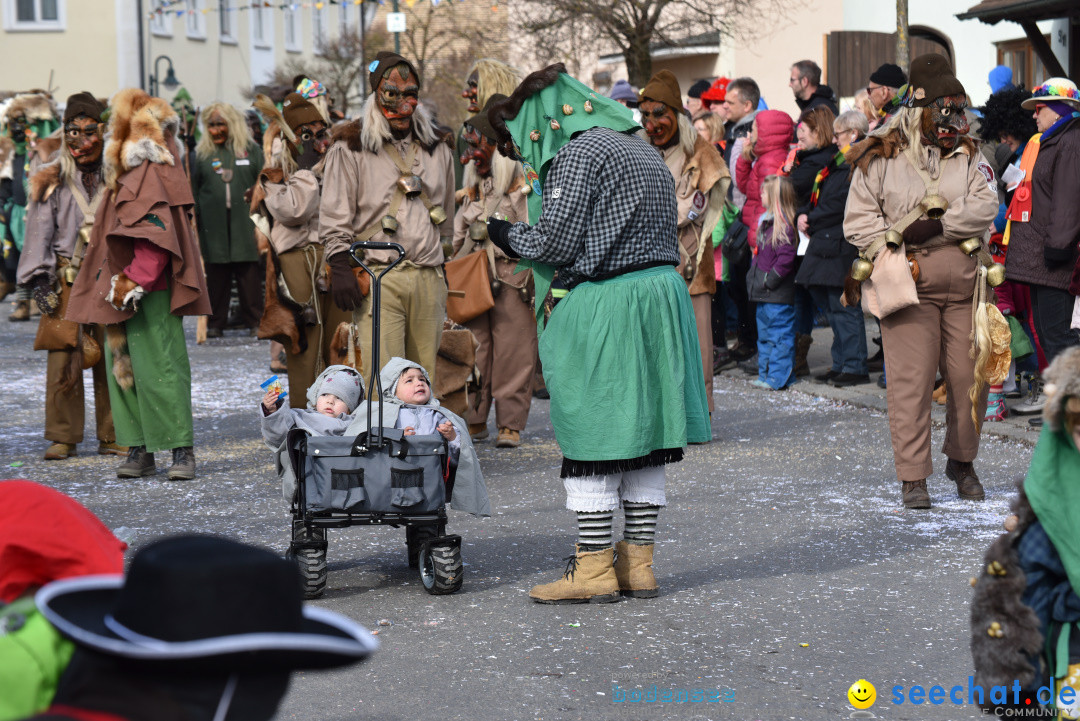 Jubilaeumsumzug - 60 Jahre Zeller Katz: Eberhardszell, 24.02.2019