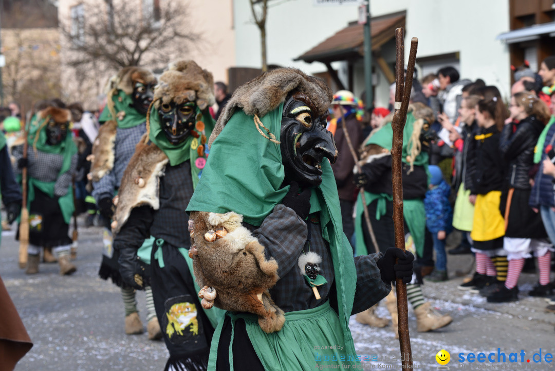 Jubilaeumsumzug - 60 Jahre Zeller Katz: Eberhardszell, 24.02.2019