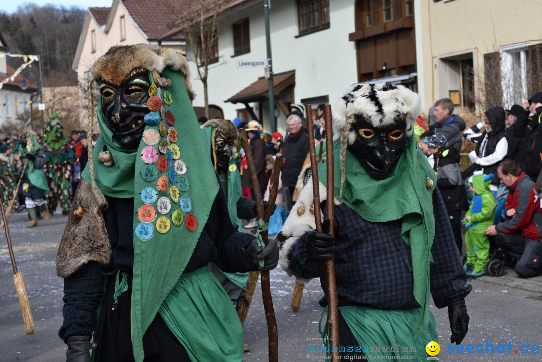 Jubilaeumsumzug - 60 Jahre Zeller Katz: Eberhardszell, 24.02.2019