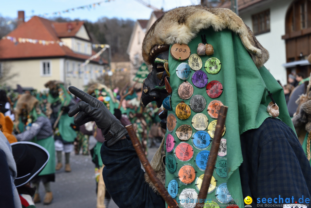 Jubilaeumsumzug - 60 Jahre Zeller Katz: Eberhardszell, 24.02.2019