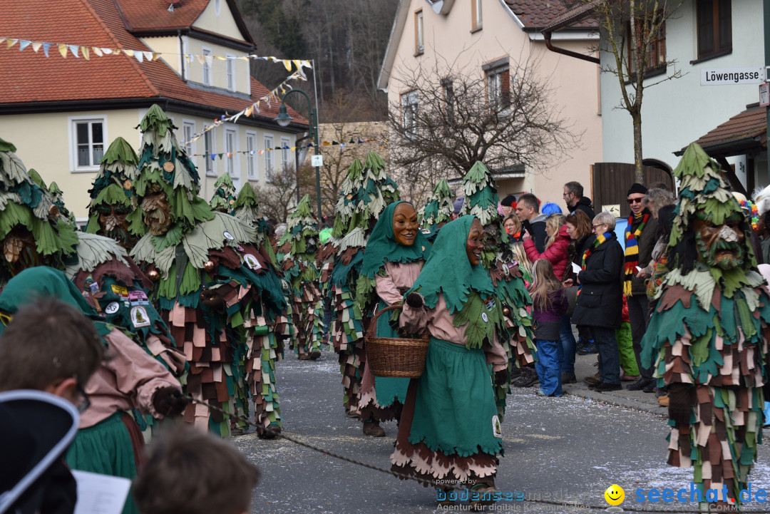 Jubilaeumsumzug - 60 Jahre Zeller Katz: Eberhardszell, 24.02.2019