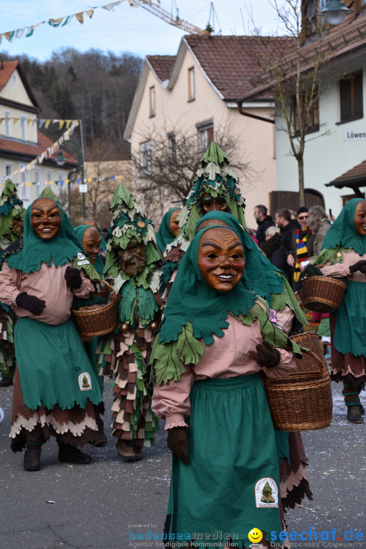 Jubilaeumsumzug - 60 Jahre Zeller Katz: Eberhardszell, 24.02.2019