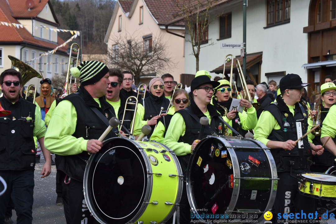 Jubilaeumsumzug - 60 Jahre Zeller Katz: Eberhardszell, 24.02.2019