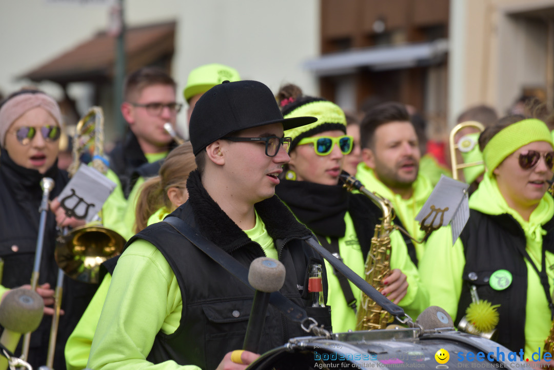 Jubilaeumsumzug - 60 Jahre Zeller Katz: Eberhardszell, 24.02.2019