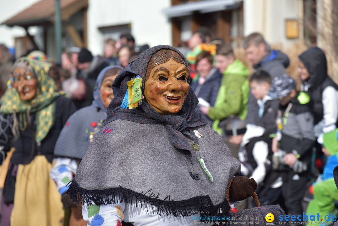 Jubilaeumsumzug - 60 Jahre Zeller Katz: Eberhardszell, 24.02.2019