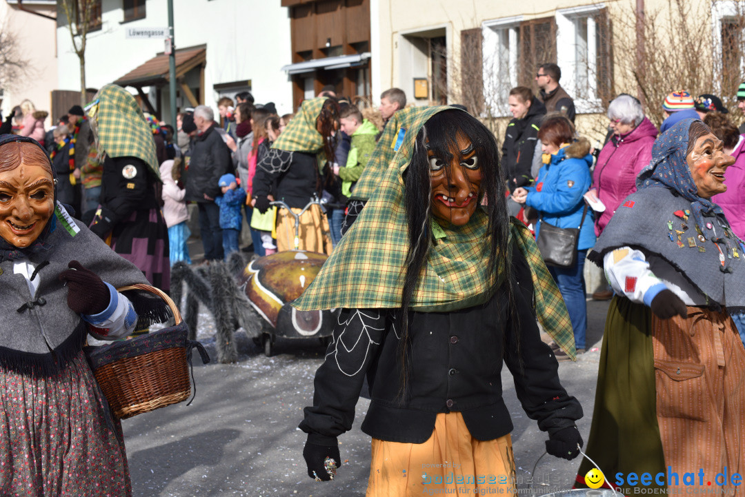 Jubilaeumsumzug - 60 Jahre Zeller Katz: Eberhardszell, 24.02.2019