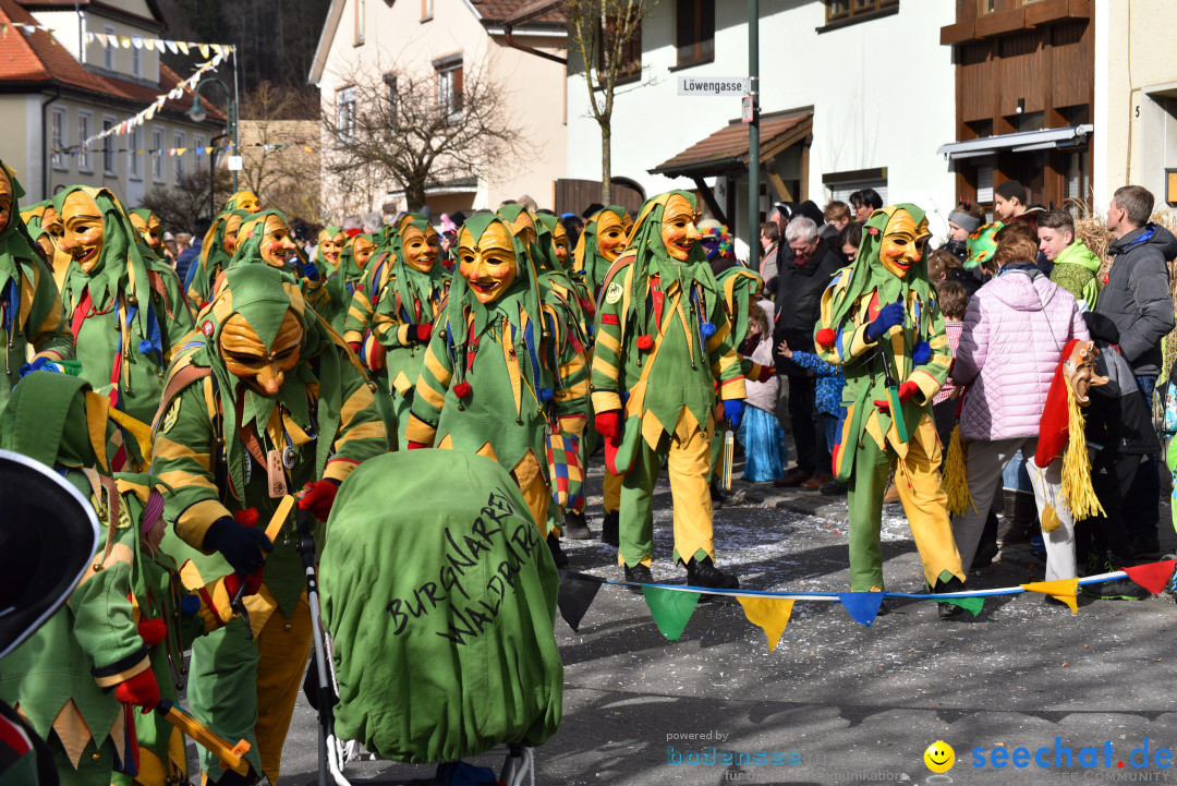 Jubilaeumsumzug - 60 Jahre Zeller Katz: Eberhardszell, 24.02.2019