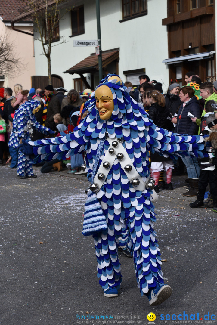 Jubilaeumsumzug - 60 Jahre Zeller Katz: Eberhardszell, 24.02.2019