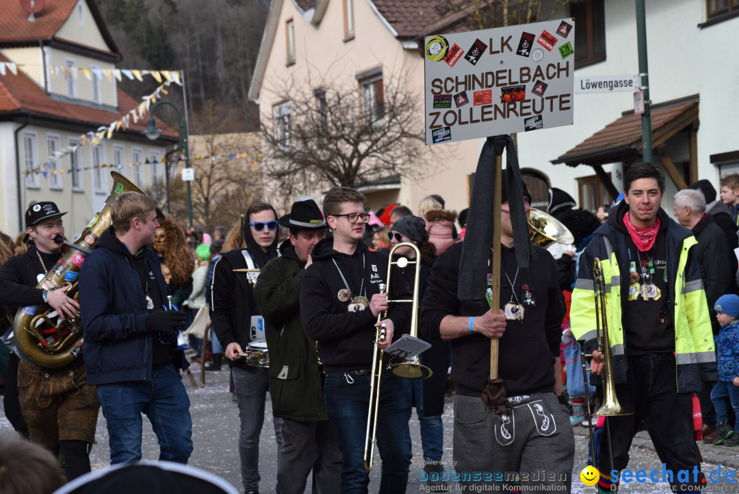 Jubilaeumsumzug - 60 Jahre Zeller Katz: Eberhardszell, 24.02.2019