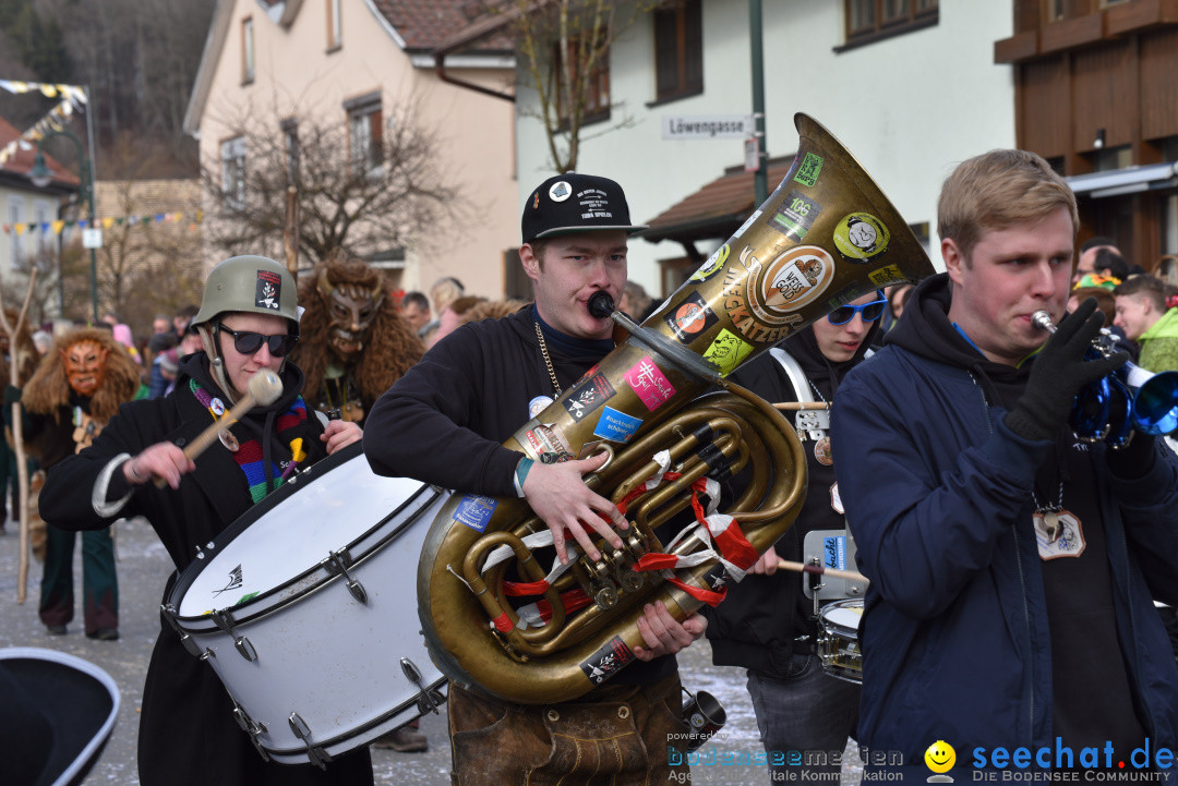 Jubilaeumsumzug - 60 Jahre Zeller Katz: Eberhardszell, 24.02.2019