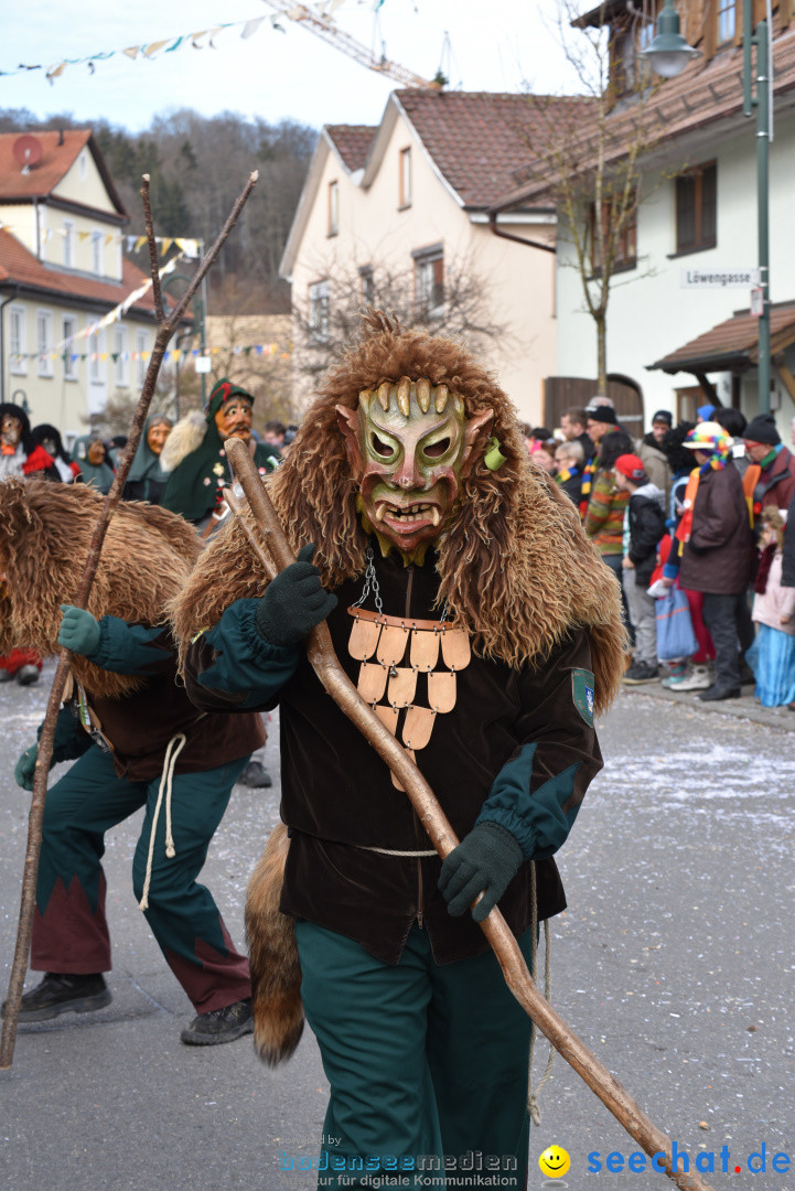 Jubilaeumsumzug - 60 Jahre Zeller Katz: Eberhardszell, 24.02.2019