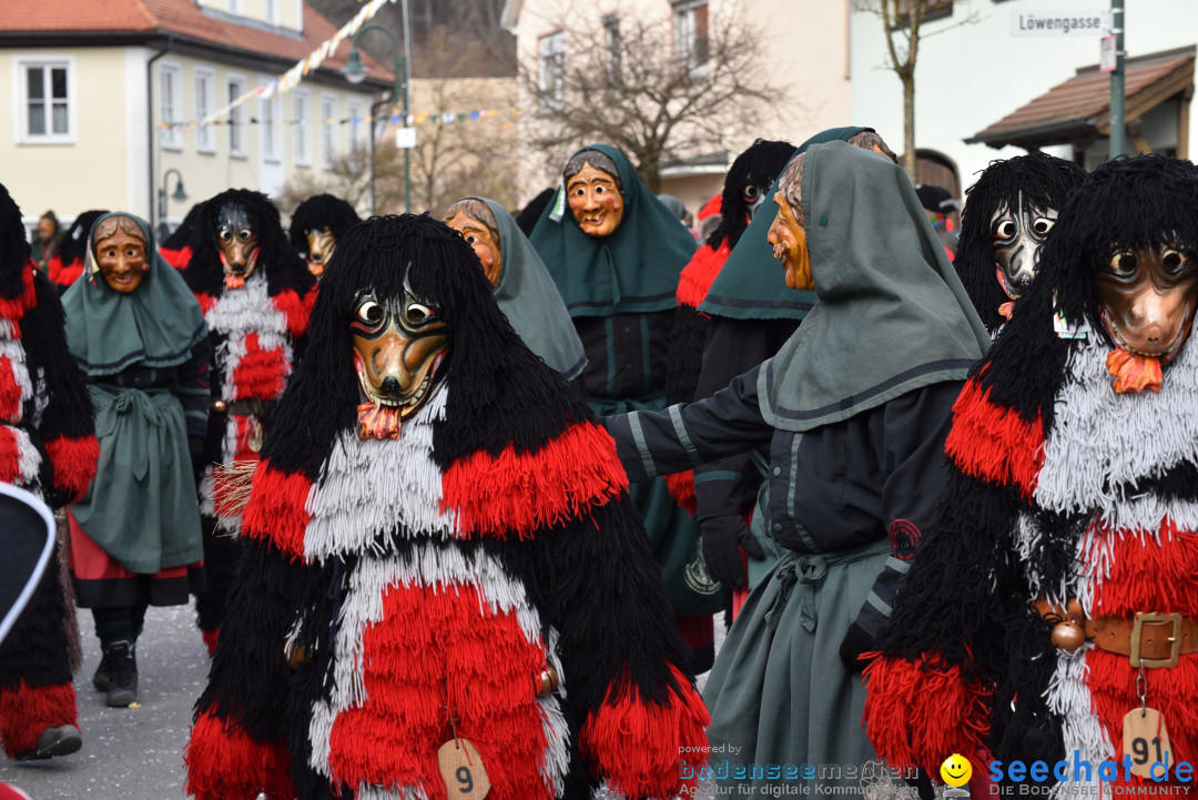 Jubilaeumsumzug - 60 Jahre Zeller Katz: Eberhardszell, 24.02.2019