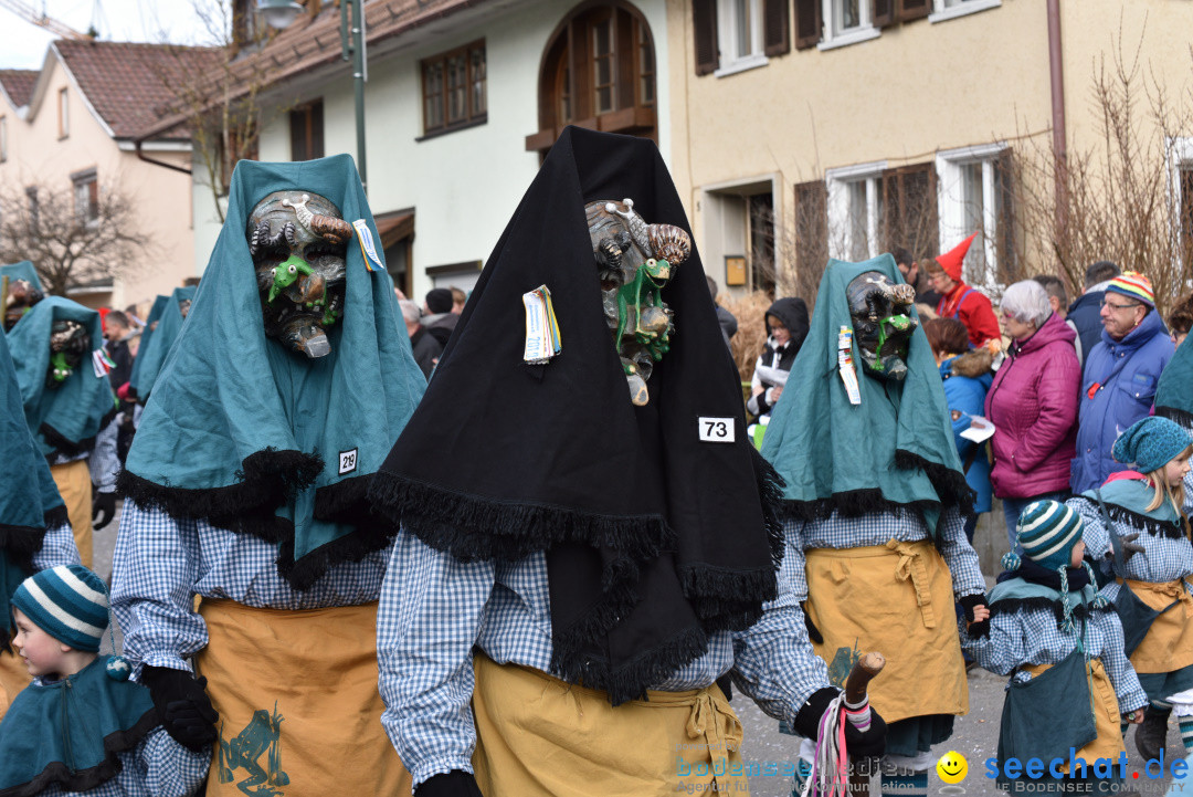 Jubilaeumsumzug - 60 Jahre Zeller Katz: Eberhardszell, 24.02.2019