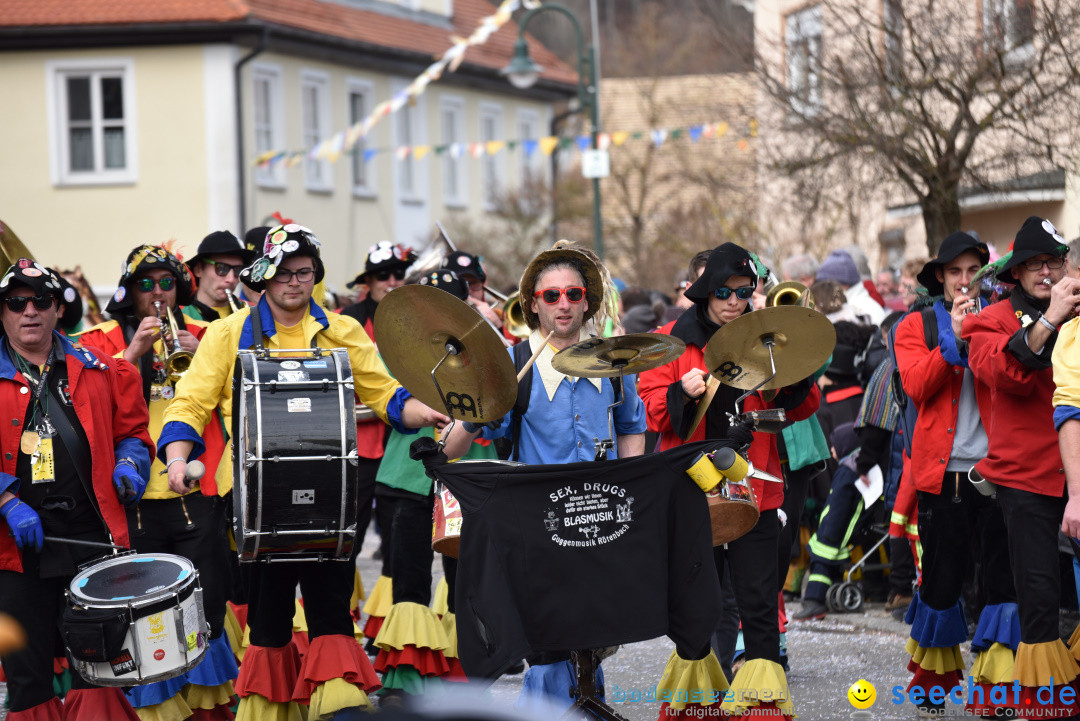 Jubilaeumsumzug - 60 Jahre Zeller Katz: Eberhardszell, 24.02.2019