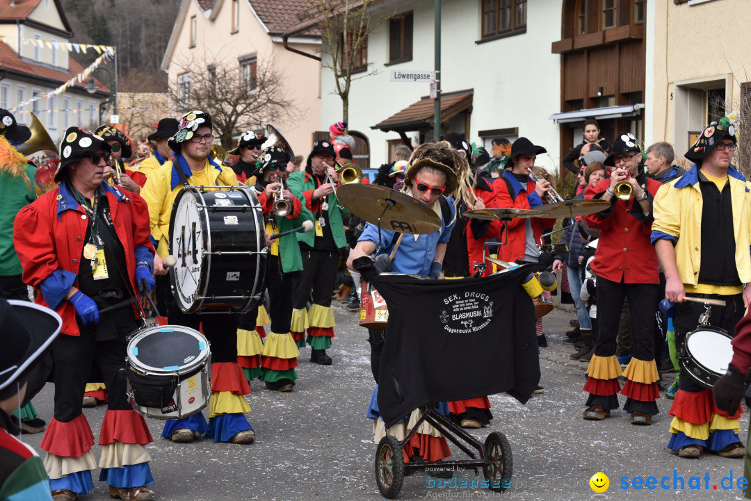 Jubilaeumsumzug - 60 Jahre Zeller Katz: Eberhardszell, 24.02.2019