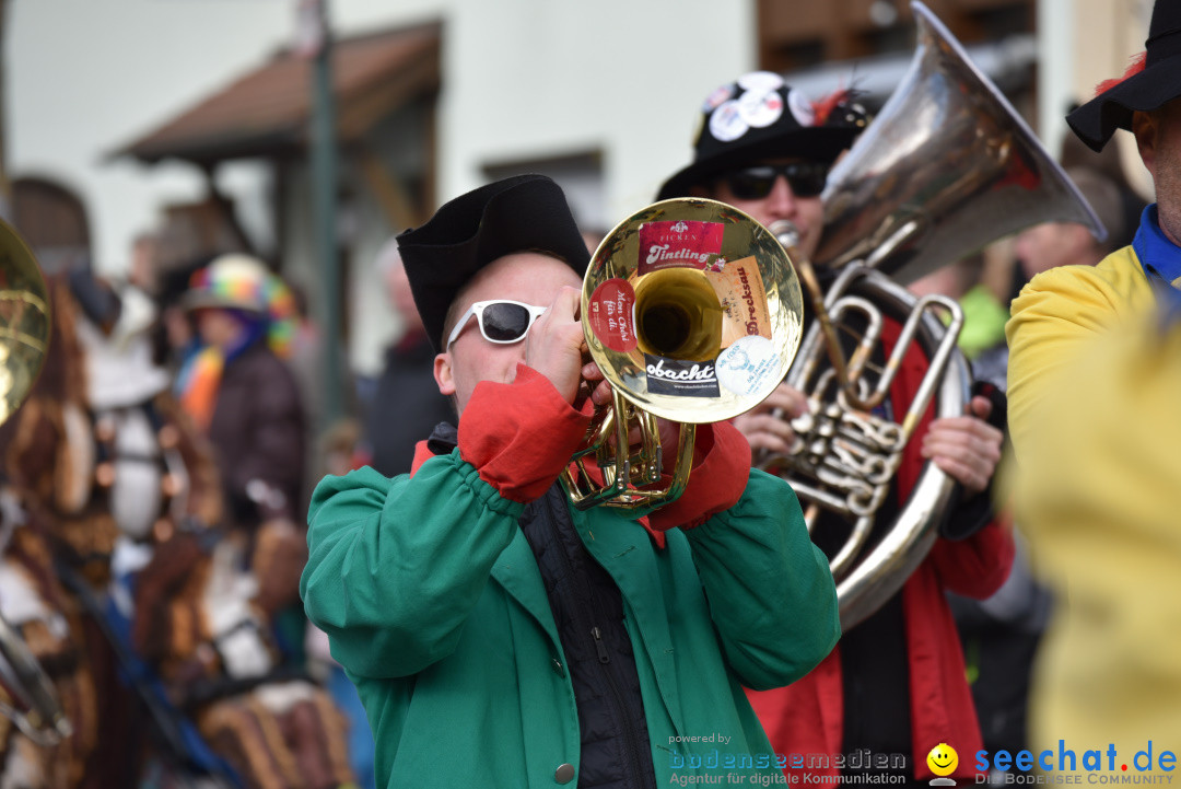 Jubilaeumsumzug - 60 Jahre Zeller Katz: Eberhardszell, 24.02.2019