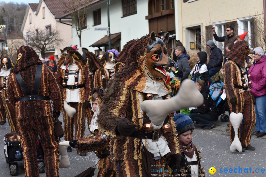 Jubilaeumsumzug - 60 Jahre Zeller Katz: Eberhardszell, 24.02.2019