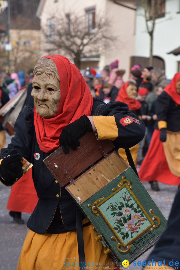 Jubilaeumsumzug - 60 Jahre Zeller Katz: Eberhardszell, 24.02.2019