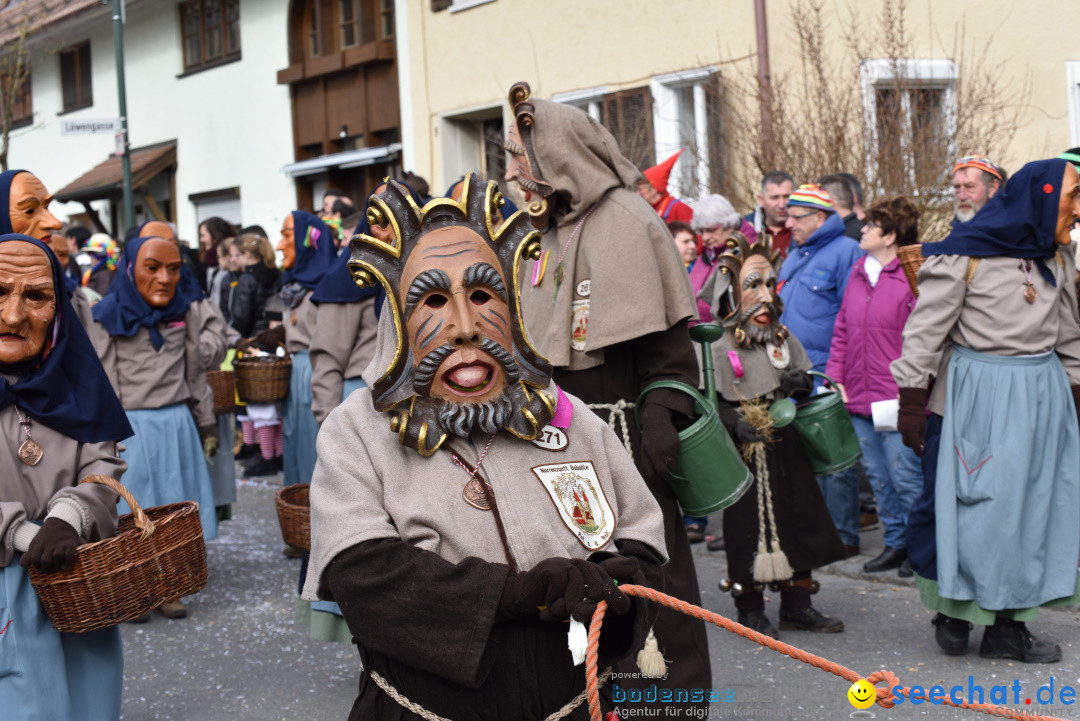 Jubilaeumsumzug - 60 Jahre Zeller Katz: Eberhardszell, 24.02.2019