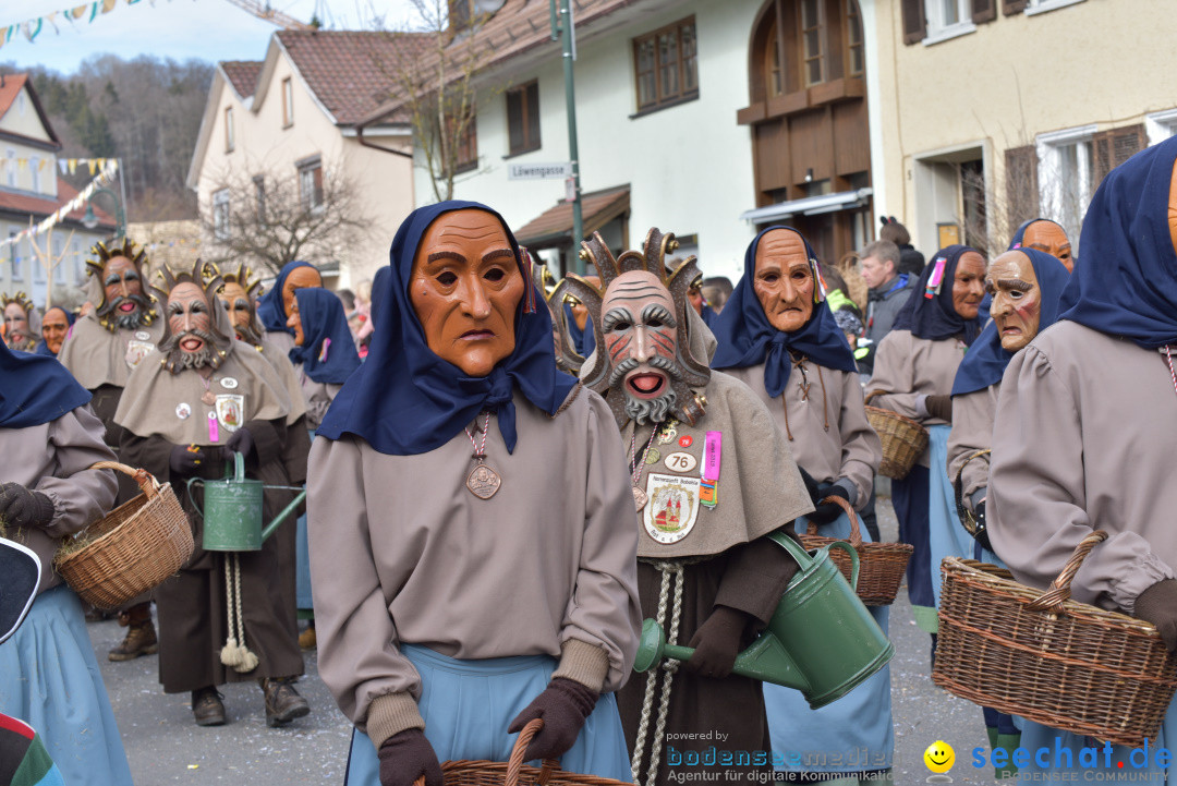 Jubilaeumsumzug - 60 Jahre Zeller Katz: Eberhardszell, 24.02.2019