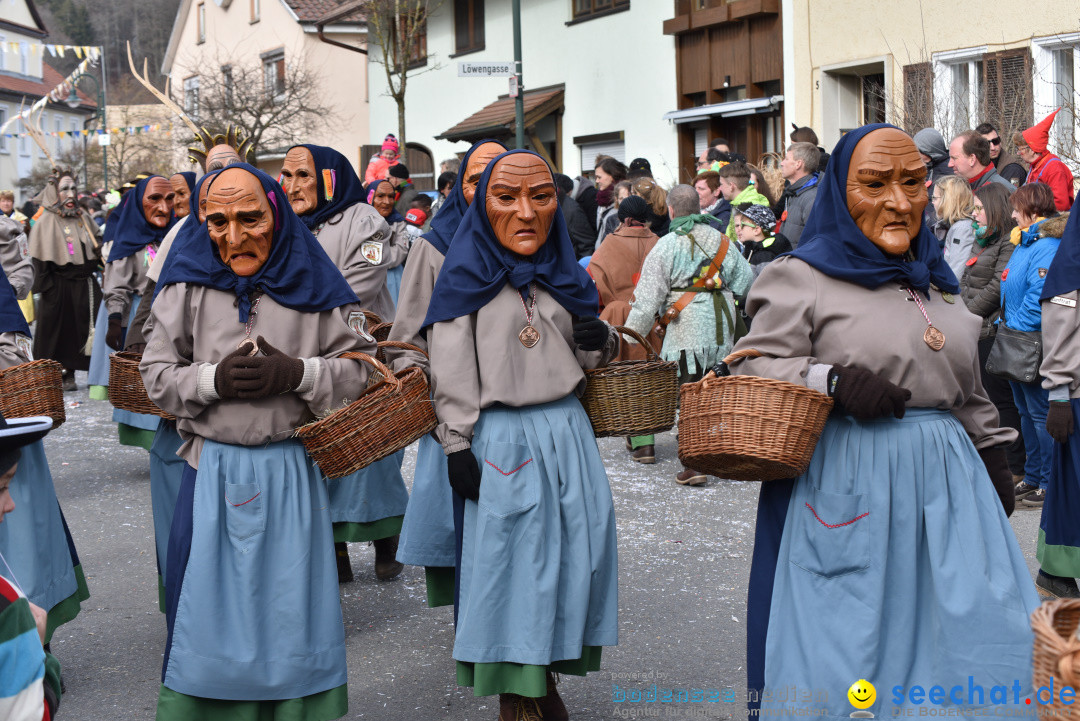 Jubilaeumsumzug - 60 Jahre Zeller Katz: Eberhardszell, 24.02.2019