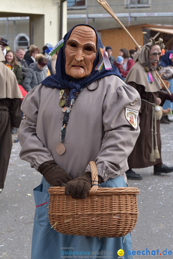 Jubilaeumsumzug - 60 Jahre Zeller Katz: Eberhardszell, 24.02.2019