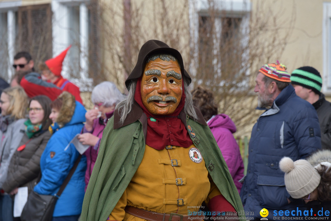 Jubilaeumsumzug - 60 Jahre Zeller Katz: Eberhardszell, 24.02.2019