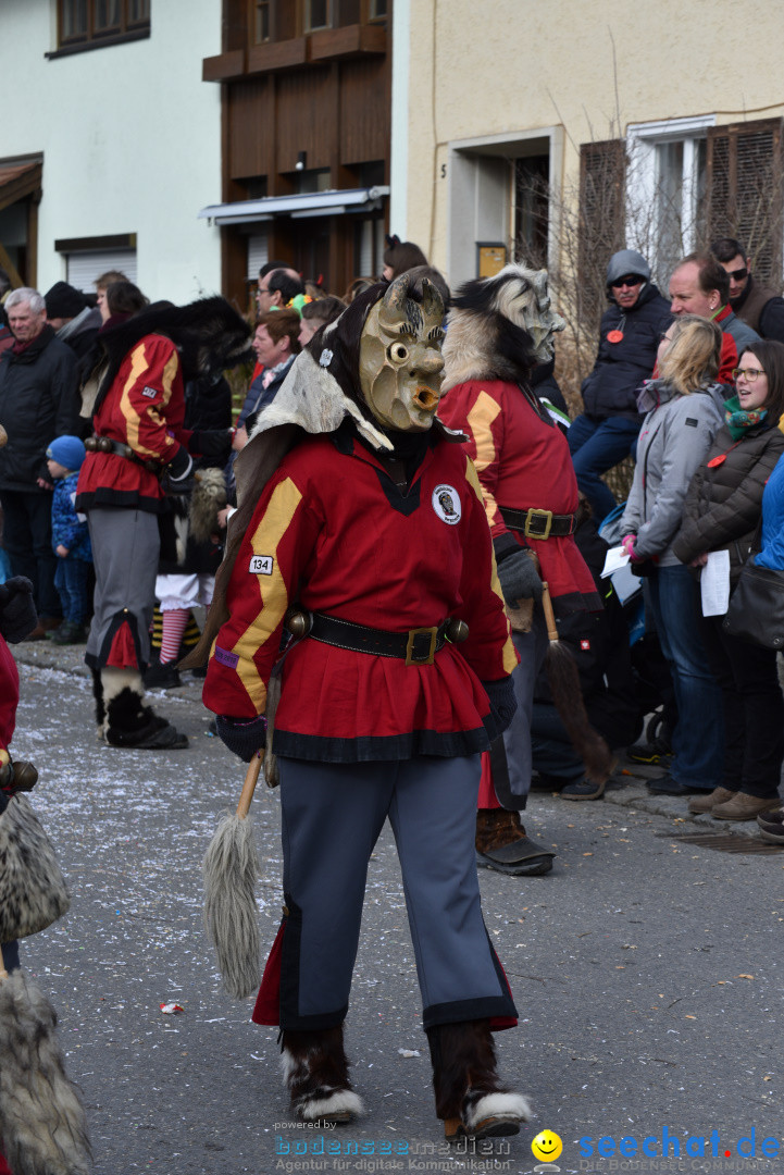 Jubilaeumsumzug - 60 Jahre Zeller Katz: Eberhardszell, 24.02.2019