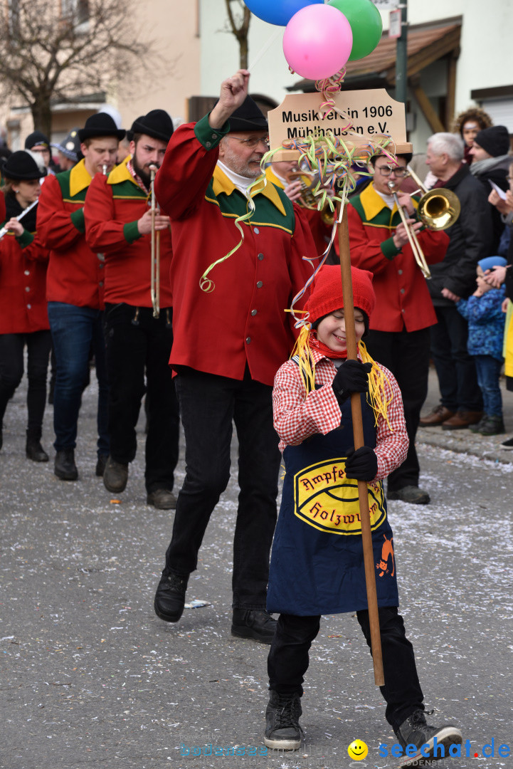 Jubilaeumsumzug - 60 Jahre Zeller Katz: Eberhardszell, 24.02.2019