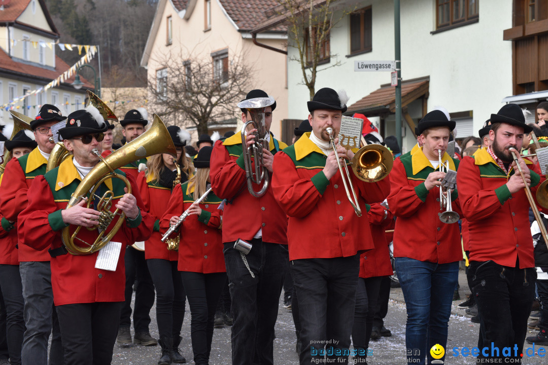 Jubilaeumsumzug - 60 Jahre Zeller Katz: Eberhardszell, 24.02.2019