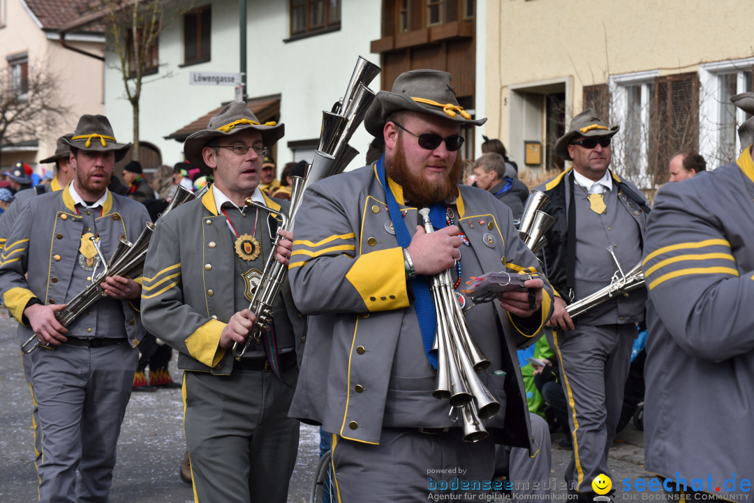 Jubilaeumsumzug - 60 Jahre Zeller Katz: Eberhardszell, 24.02.2019