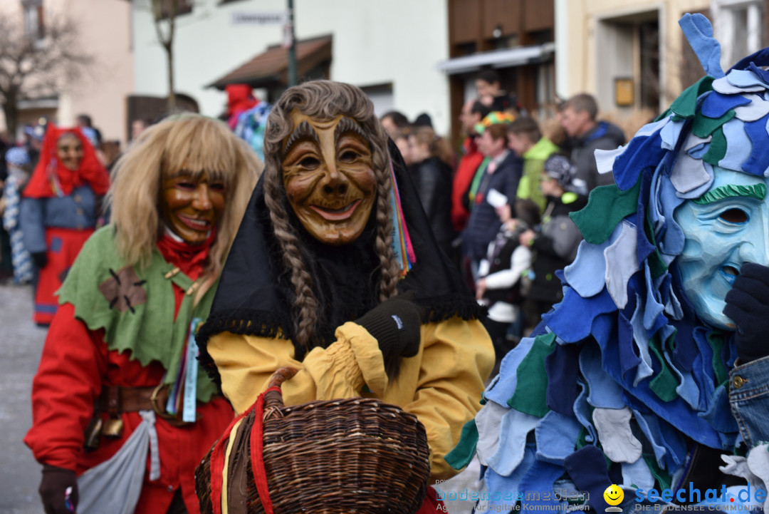 Jubilaeumsumzug - 60 Jahre Zeller Katz: Eberhardszell, 24.02.2019