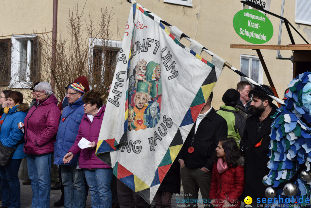 Jubilaeumsumzug - 60 Jahre Zeller Katz: Eberhardszell, 24.02.2019