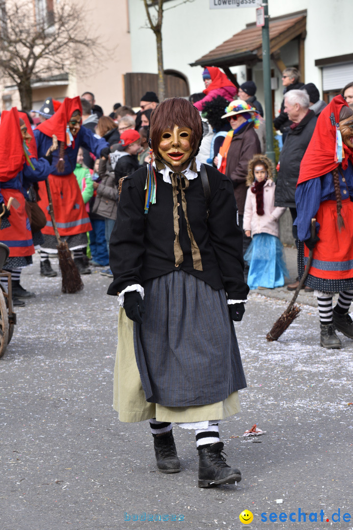 Jubilaeumsumzug - 60 Jahre Zeller Katz: Eberhardszell, 24.02.2019