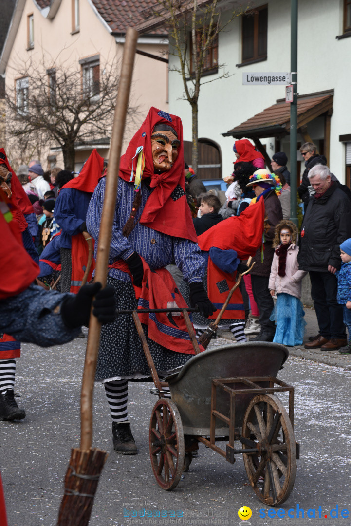 Jubilaeumsumzug - 60 Jahre Zeller Katz: Eberhardszell, 24.02.2019