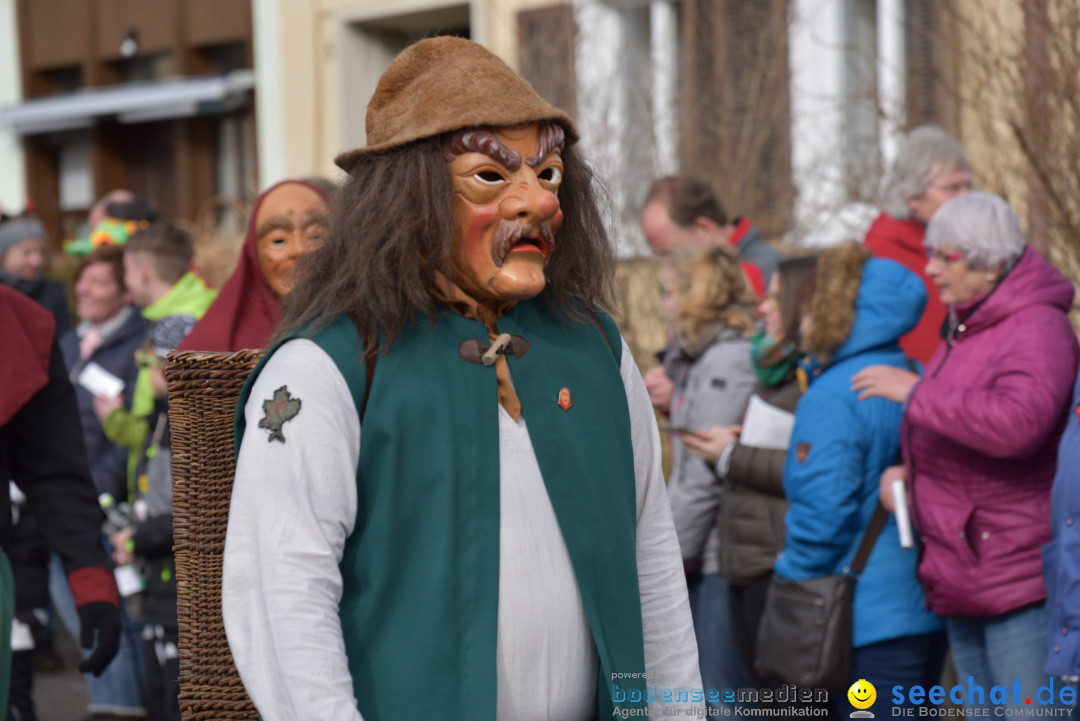 Jubilaeumsumzug - 60 Jahre Zeller Katz: Eberhardszell, 24.02.2019