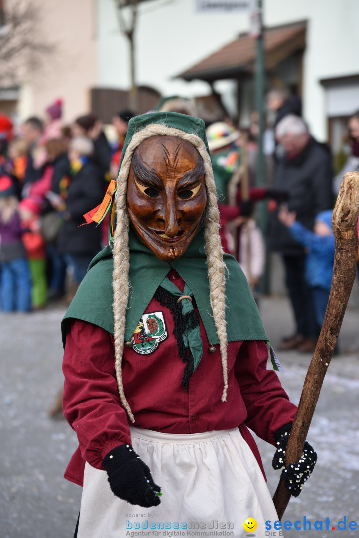 Jubilaeumsumzug - 60 Jahre Zeller Katz: Eberhardszell, 24.02.2019