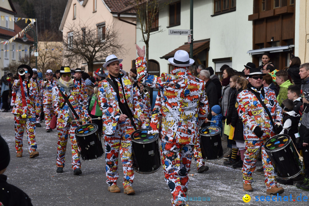 Jubilaeumsumzug - 60 Jahre Zeller Katz: Eberhardszell, 24.02.2019