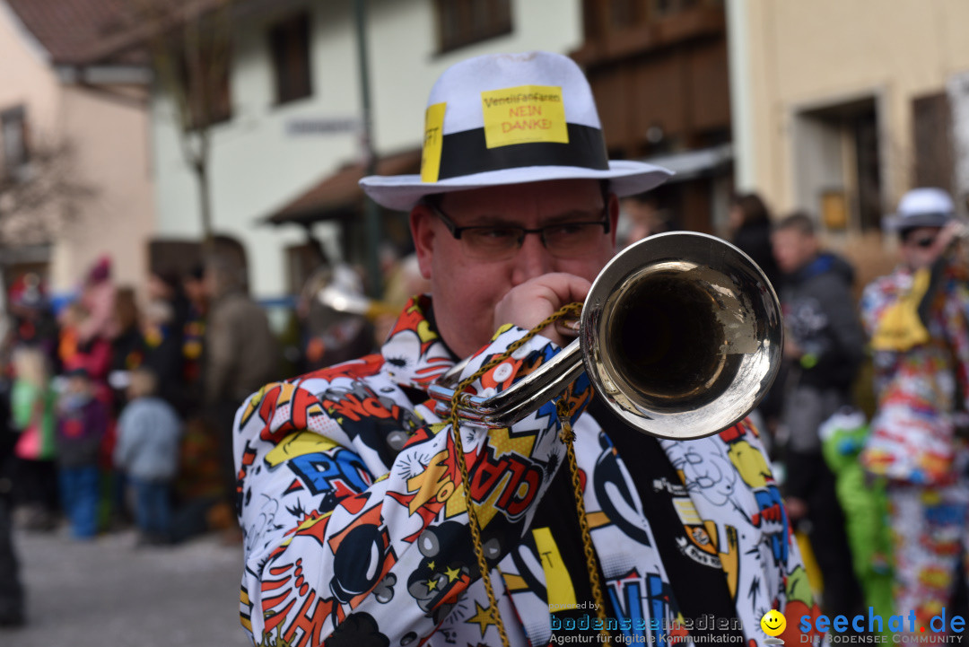 Jubilaeumsumzug - 60 Jahre Zeller Katz: Eberhardszell, 24.02.2019