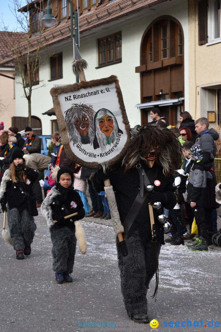 Jubilaeumsumzug - 60 Jahre Zeller Katz: Eberhardszell, 24.02.2019