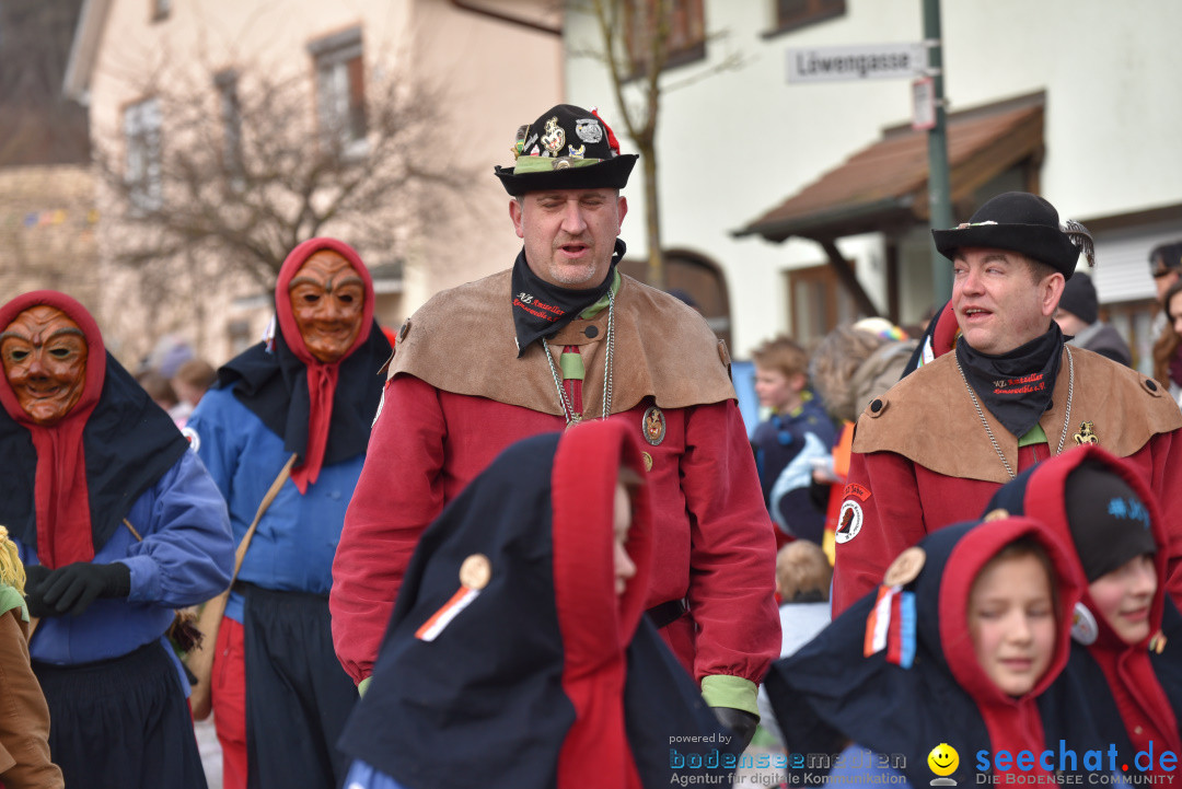 Jubilaeumsumzug - 60 Jahre Zeller Katz: Eberhardszell, 24.02.2019