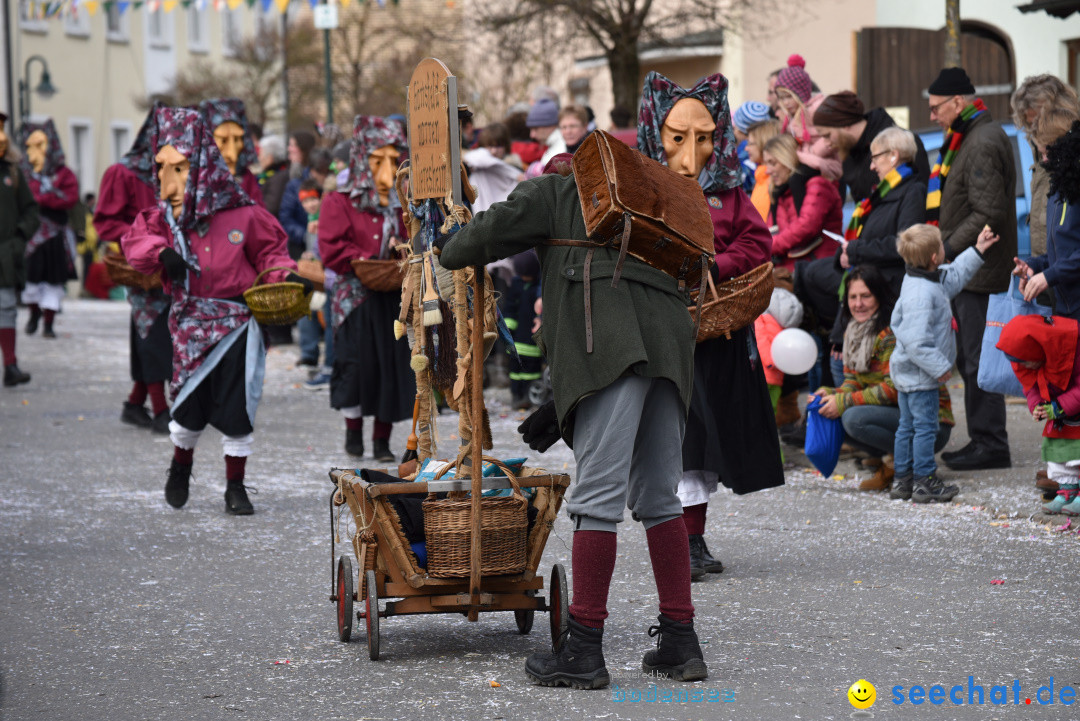 Jubilaeumsumzug - 60 Jahre Zeller Katz: Eberhardszell, 24.02.2019