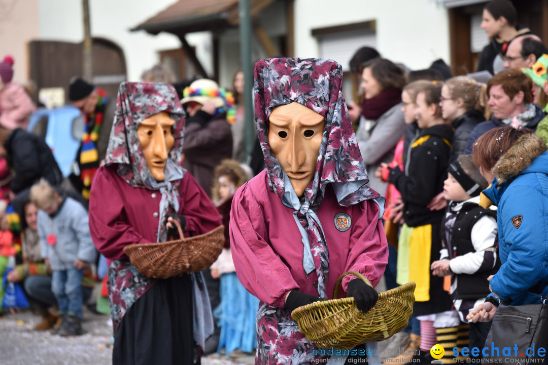 Jubilaeumsumzug - 60 Jahre Zeller Katz: Eberhardszell, 24.02.2019