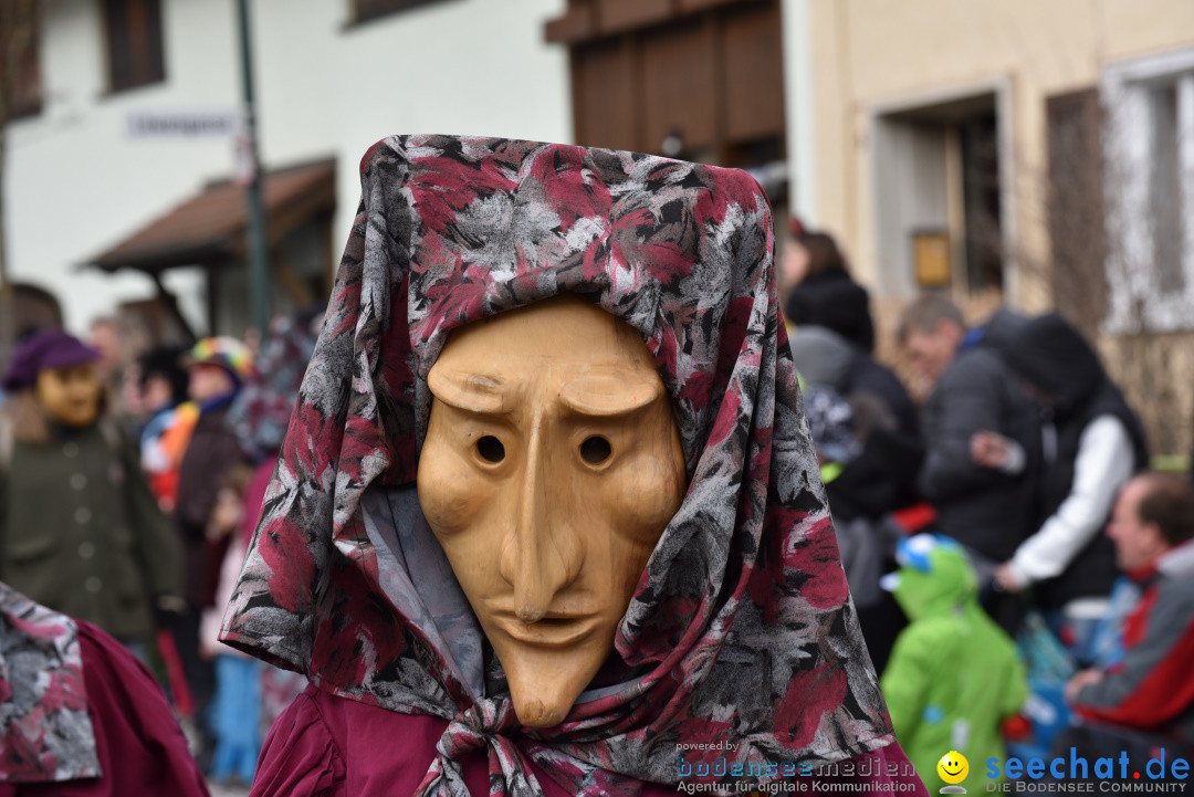 Jubilaeumsumzug - 60 Jahre Zeller Katz: Eberhardszell, 24.02.2019