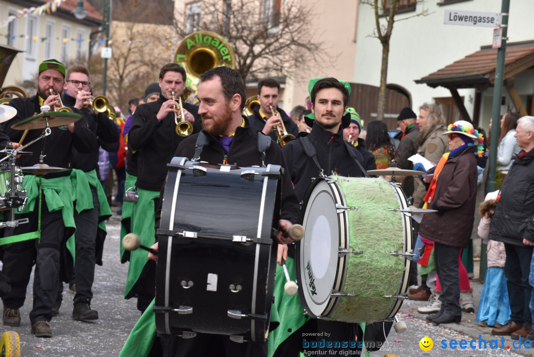 Jubilaeumsumzug - 60 Jahre Zeller Katz: Eberhardszell, 24.02.2019