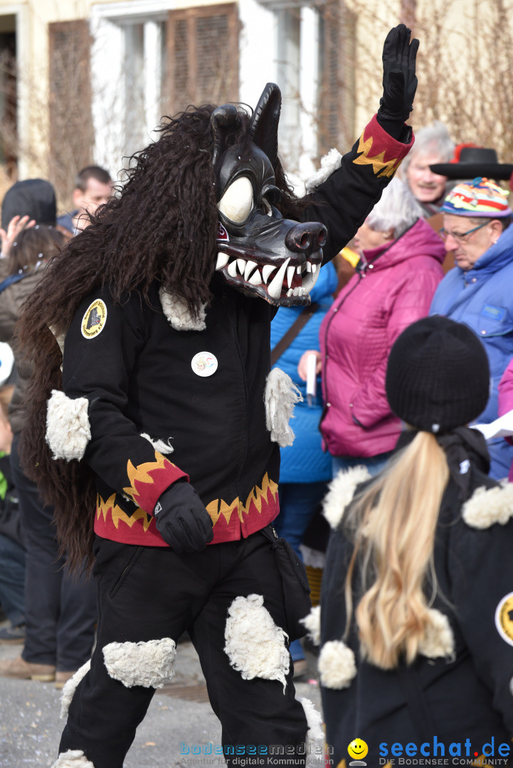 Jubilaeumsumzug - 60 Jahre Zeller Katz: Eberhardszell, 24.02.2019